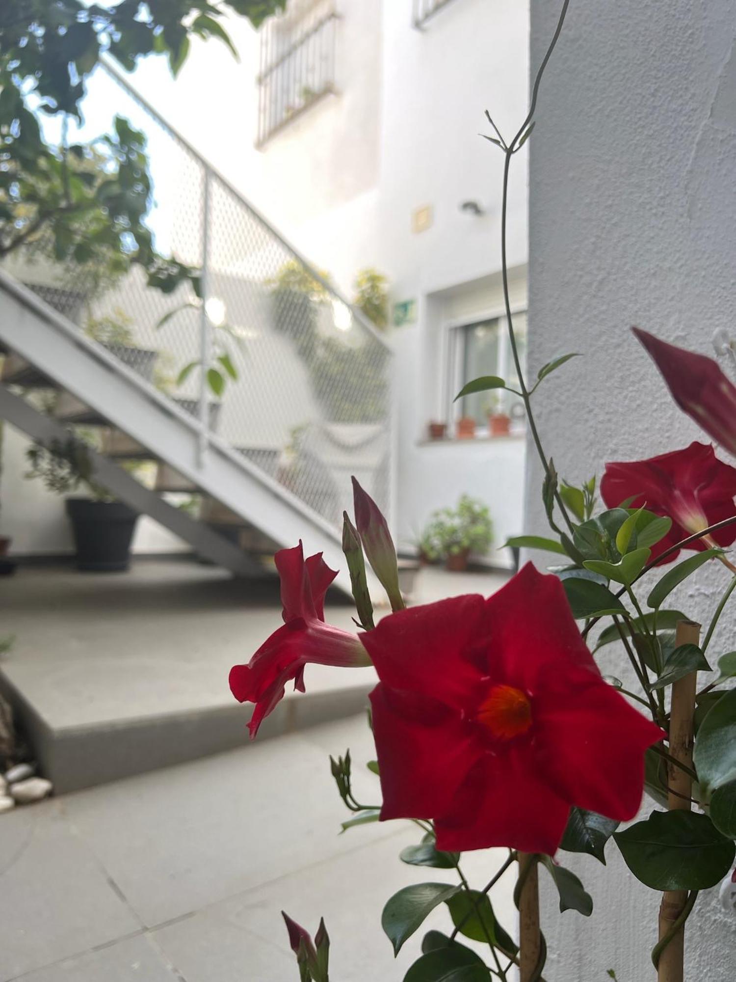 Chipibeach B&B, Hostal Boutique 奇皮奥纳 外观 照片